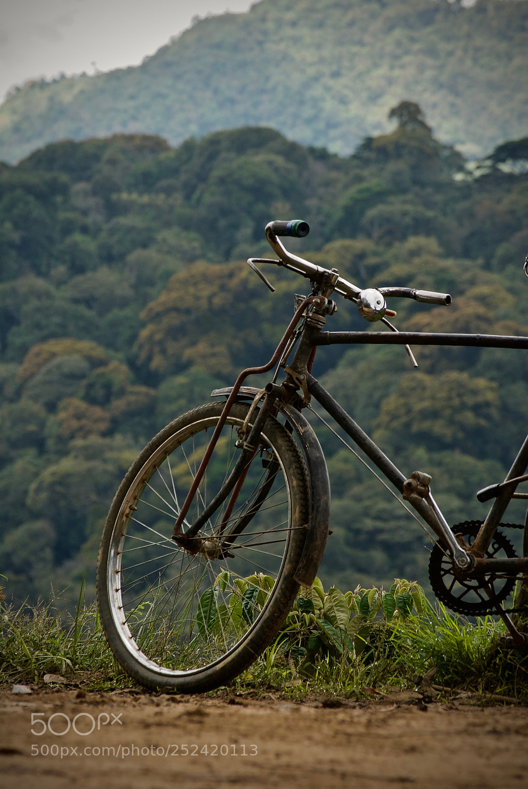 Nikon D60 sample photo. Classic steel frame photography