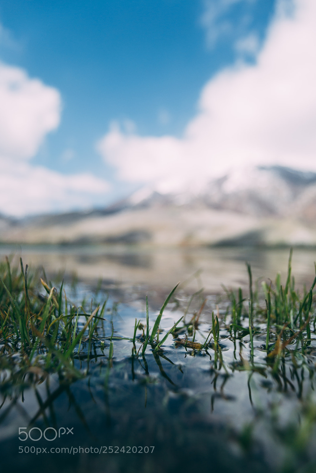 Nikon D3100 sample photo. Sull'acqua photography