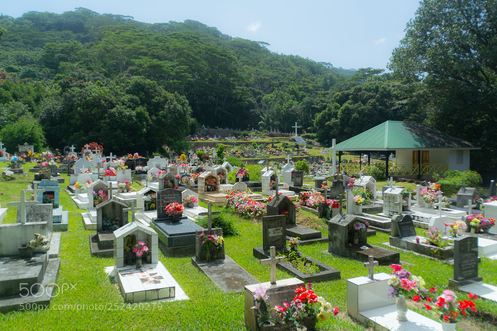 Nikon D5200 sample photo. Colors after death photography