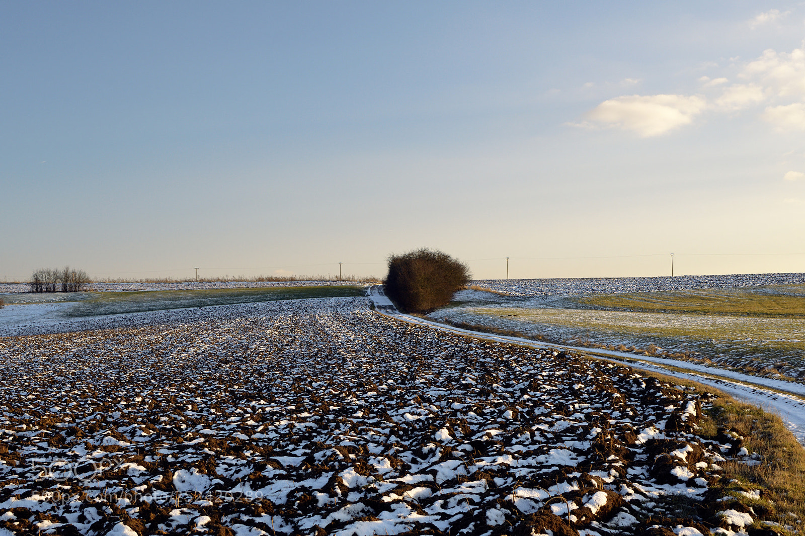 Nikon D7500 sample photo. Field in evening's light photography