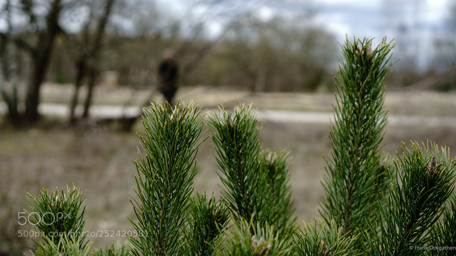 Sony a6000 sample photo. In focus photography