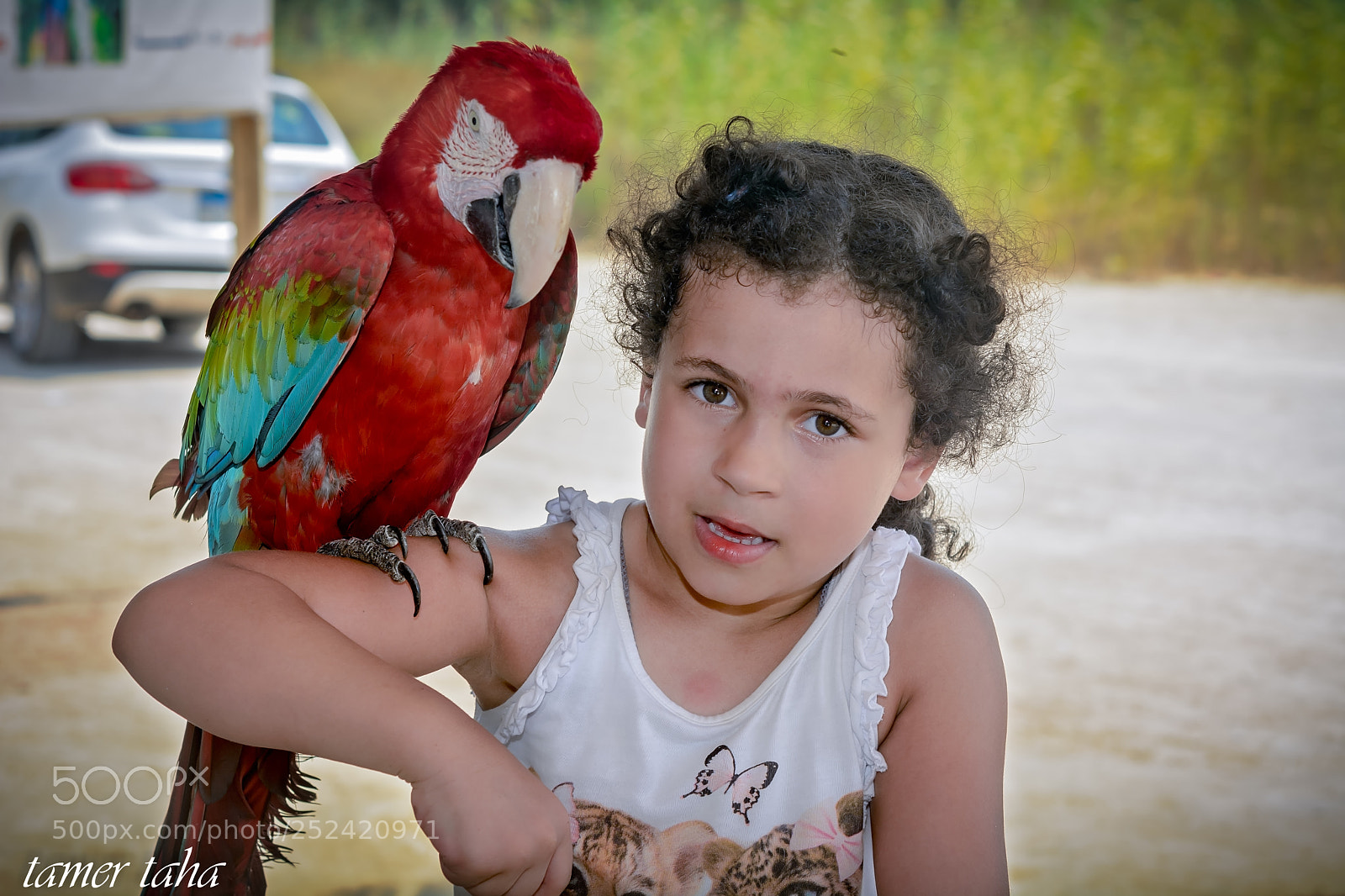 Nikon D7100 sample photo. Alex () edit photography