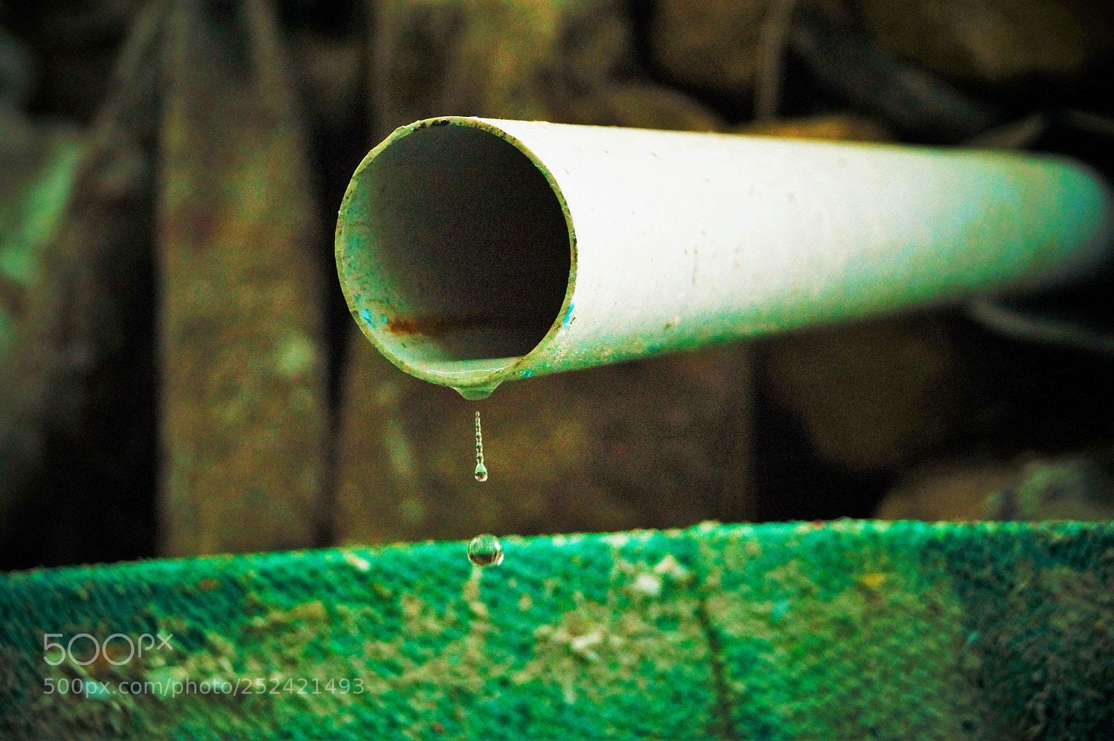 Sony SLT-A58 sample photo. Untitled photography