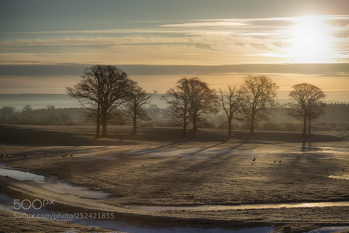 Nikon D800 sample photo. Early one morning photography