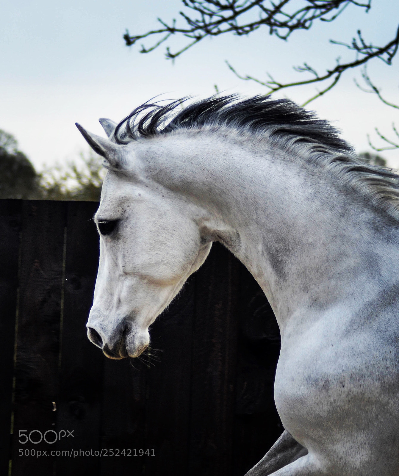 Nikon D7000 sample photo. Untitled photography