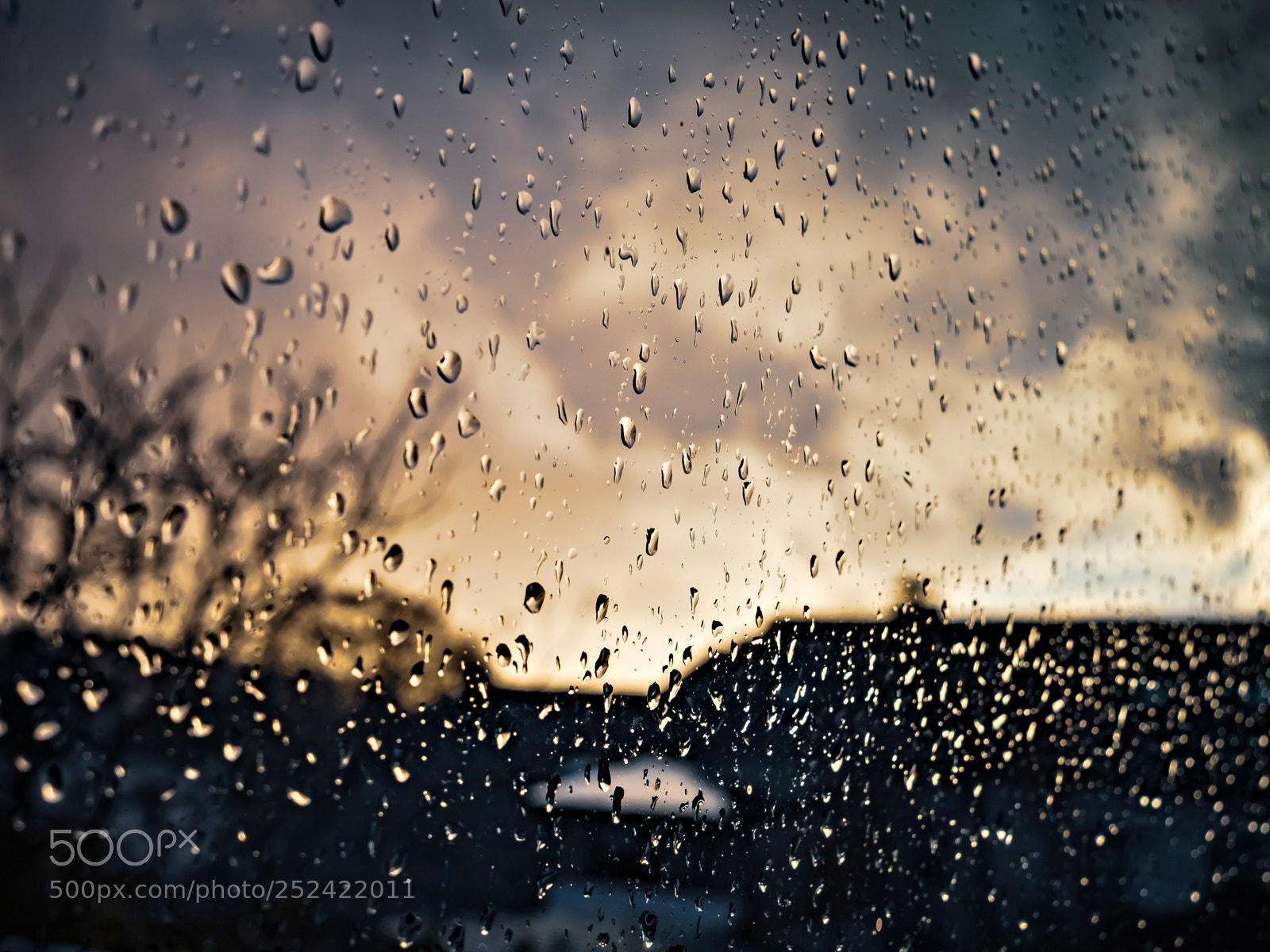 Fujifilm X-E3 sample photo. Rainy day photography