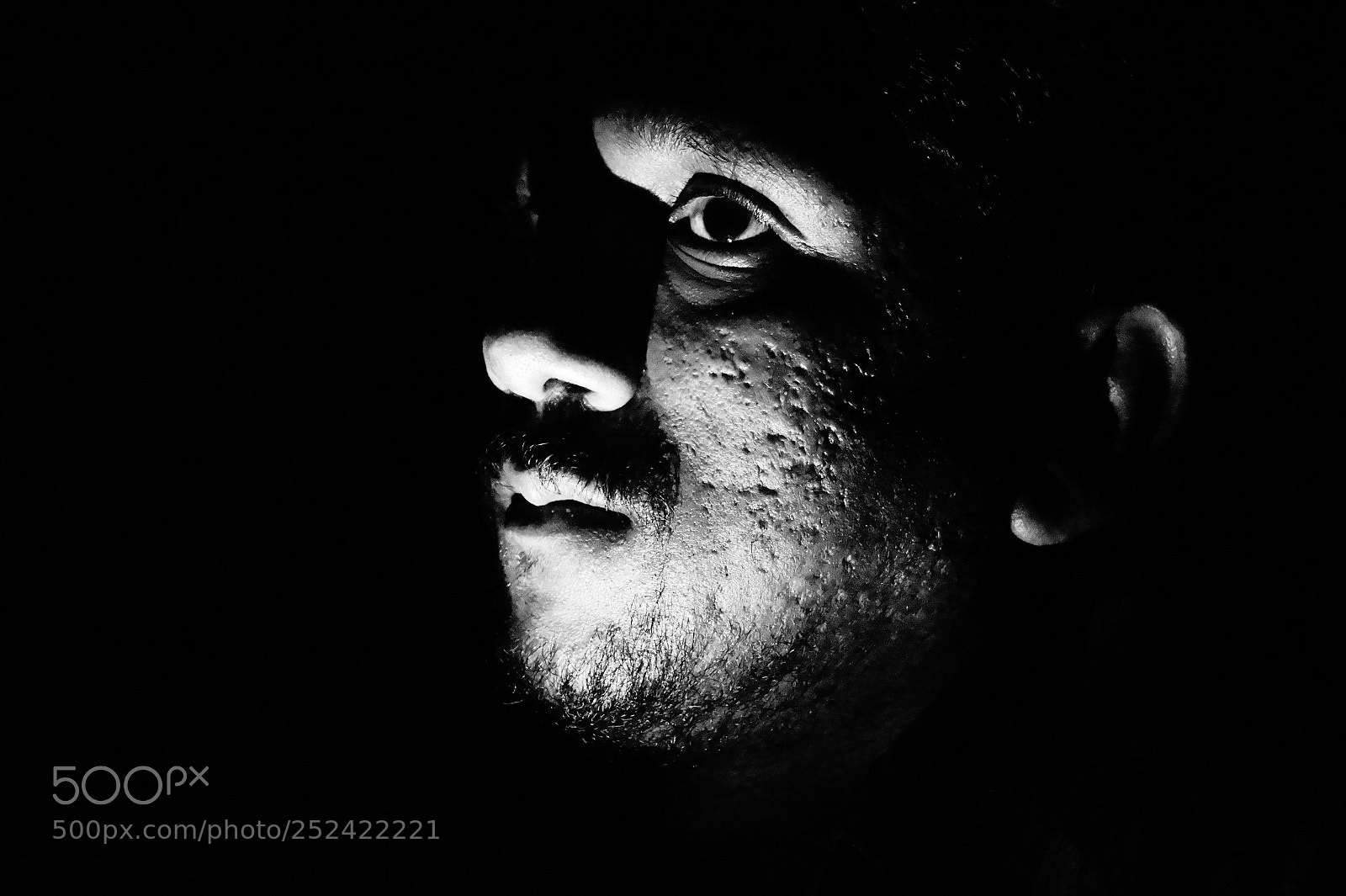 Sony SLT-A58 sample photo. Phito face photography