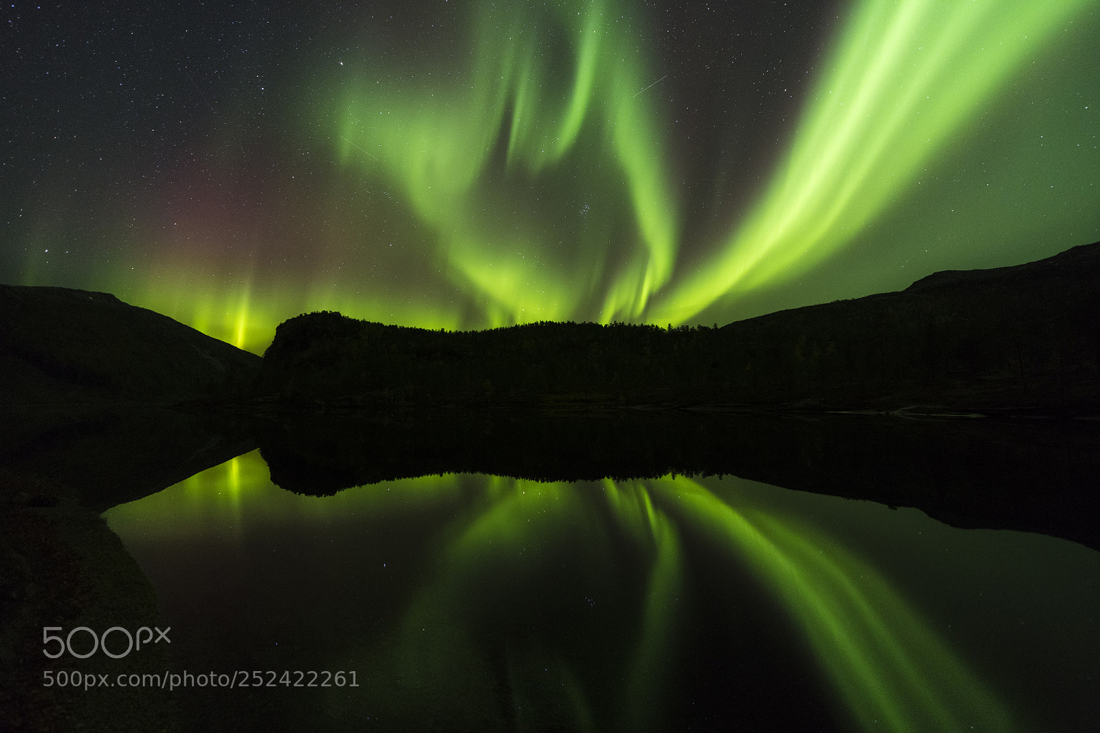 Nikon D850 sample photo. Mirrored aurora photography