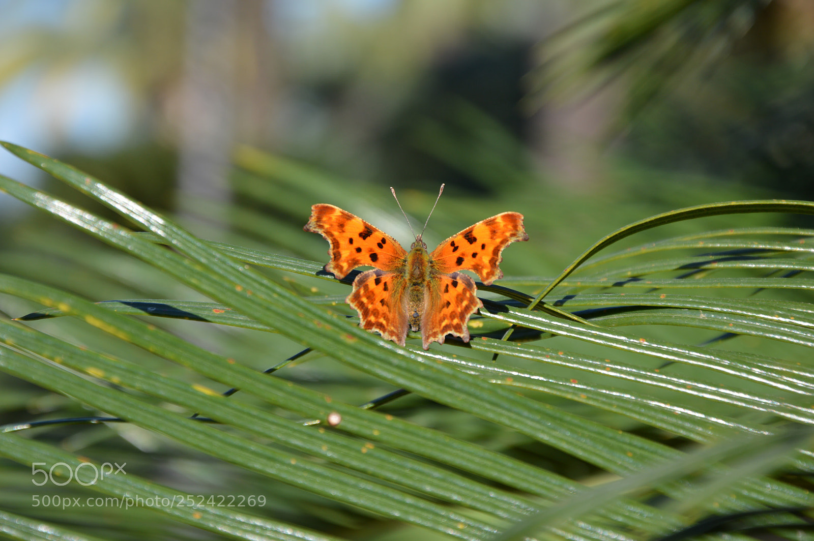 Nikon D3200 sample photo. Untitled photography