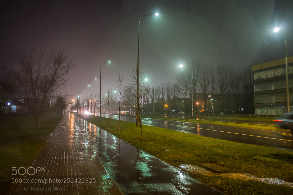 Fujifilm X-E1 sample photo. Opole_61 photography