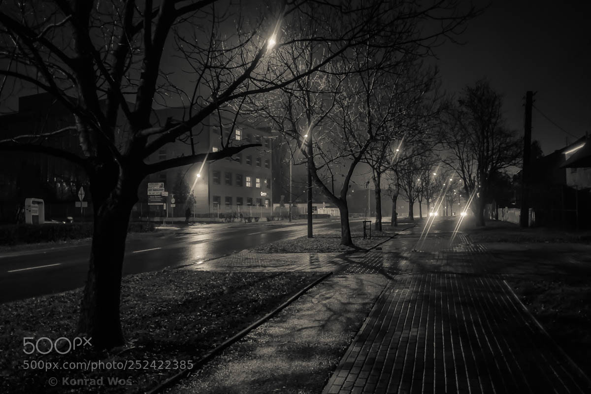 Fujifilm X-E1 sample photo. Opole_66 photography