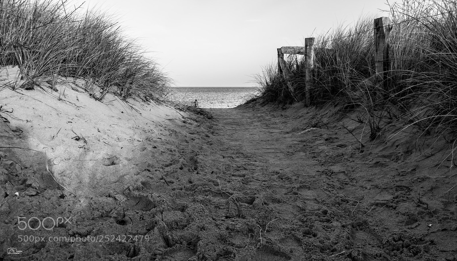 Canon EOS 750D (EOS Rebel T6i / EOS Kiss X8i) sample photo. To the beach photography