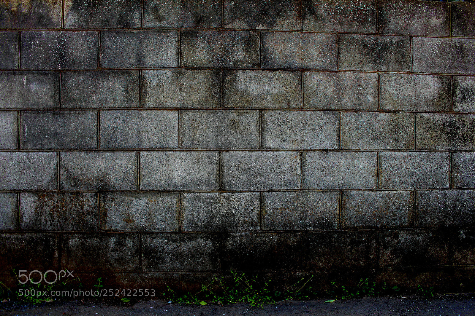 Canon EOS 700D (EOS Rebel T5i / EOS Kiss X7i) sample photo. Block wall photography