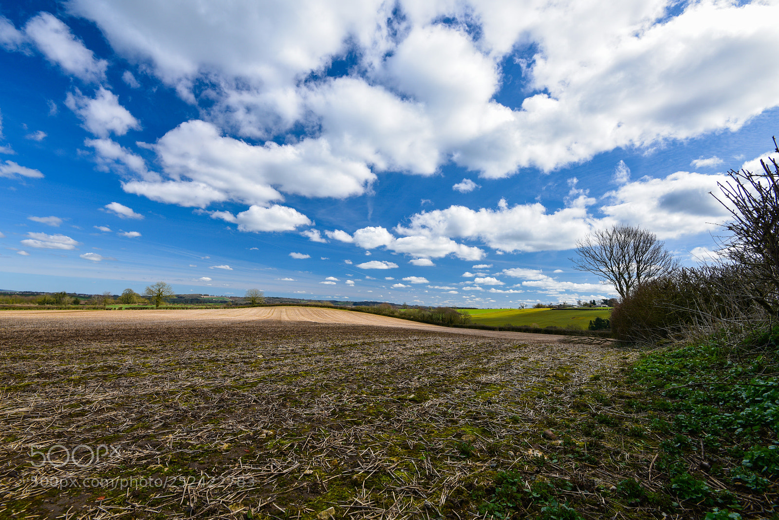 Nikon D810 sample photo. Field and sky photography