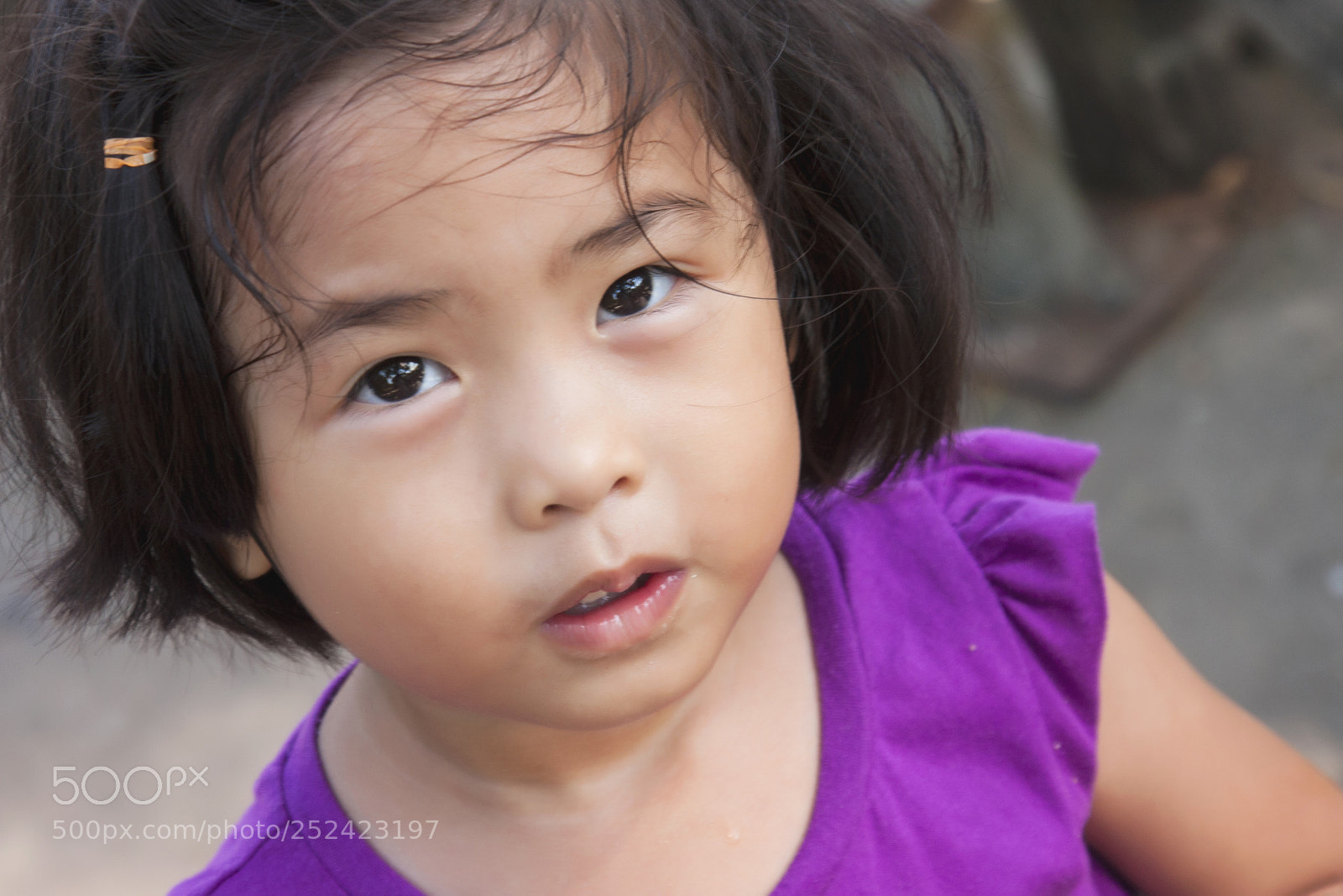 Canon EOS 40D sample photo. Untitled photography