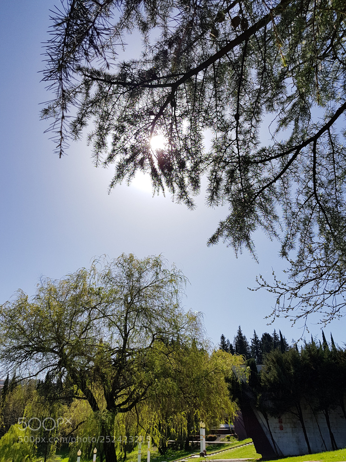 Samsung Galaxy S8 sample photo. Morning sun photography