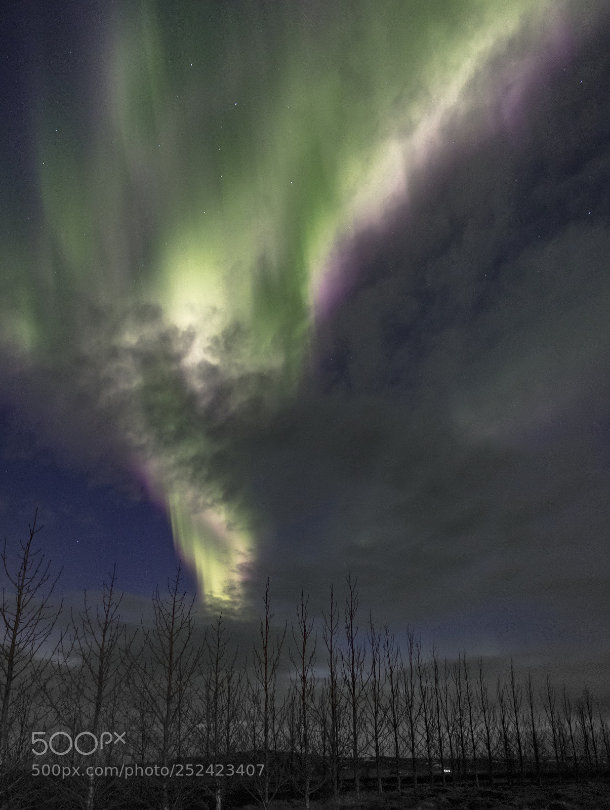 Canon EOS 750D (EOS Rebel T6i / EOS Kiss X8i) sample photo. Nothernlights photography