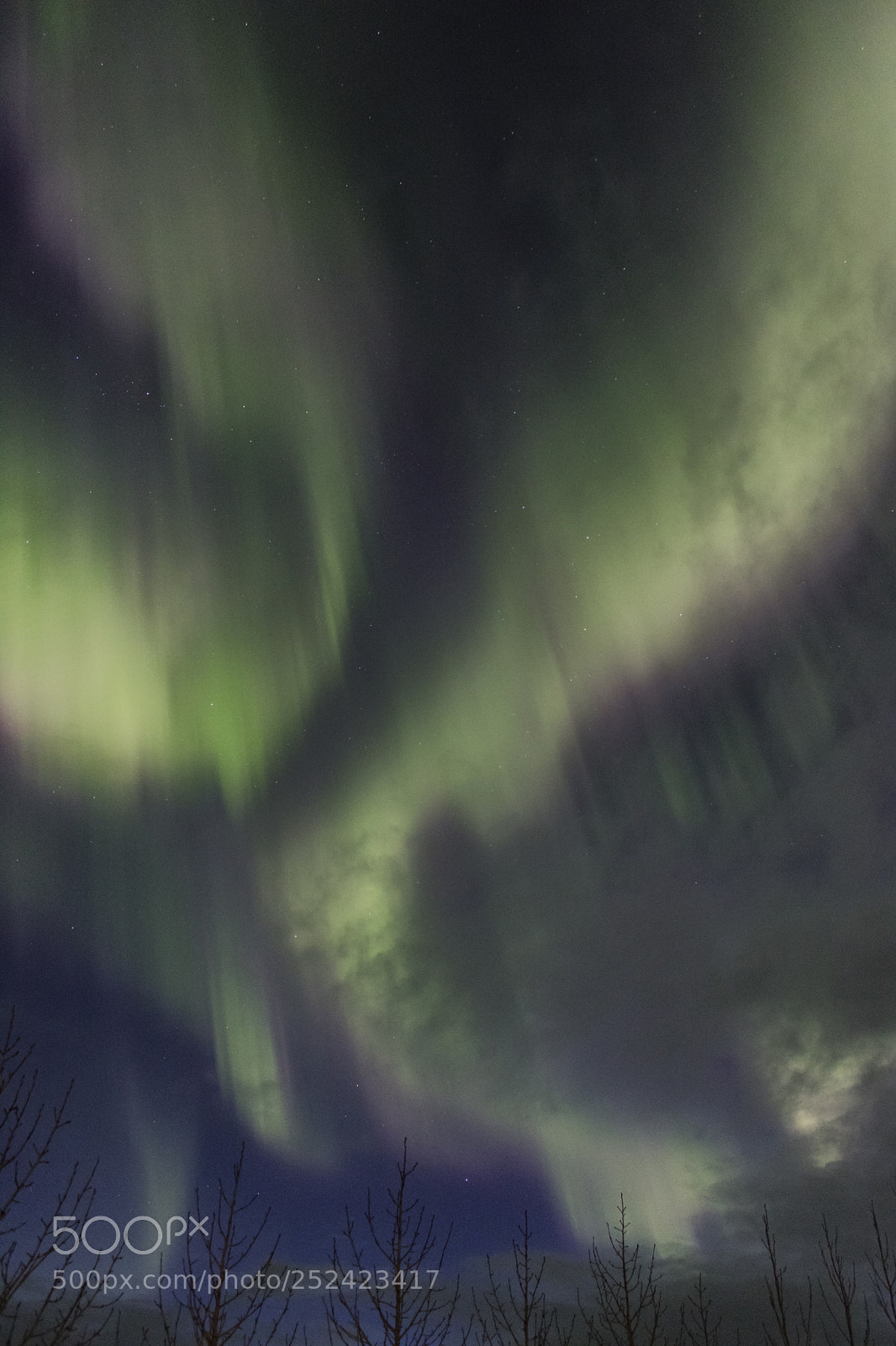 Canon EOS 750D (EOS Rebel T6i / EOS Kiss X8i) sample photo. Nothernlights photography