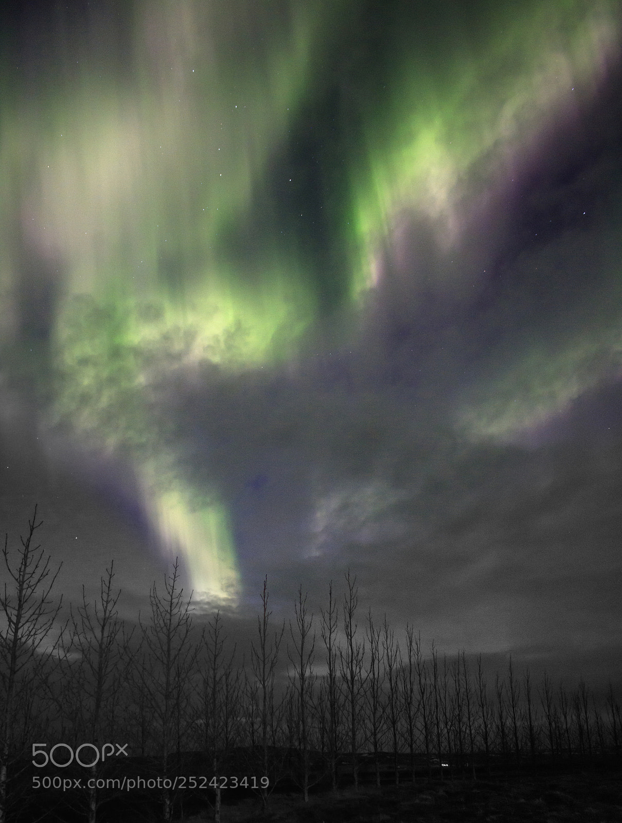 Canon EOS 750D (EOS Rebel T6i / EOS Kiss X8i) sample photo. Nothernlights photography