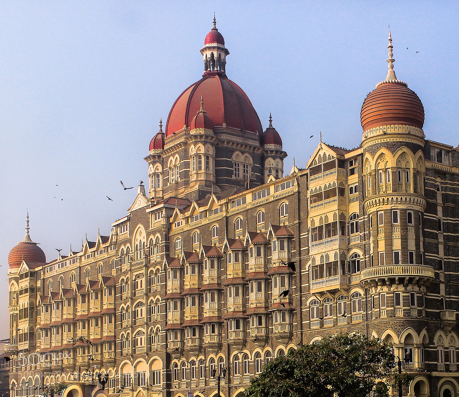 Canon EOS 600D (Rebel EOS T3i / EOS Kiss X5) sample photo. Taj mahal palace hotel. photography
