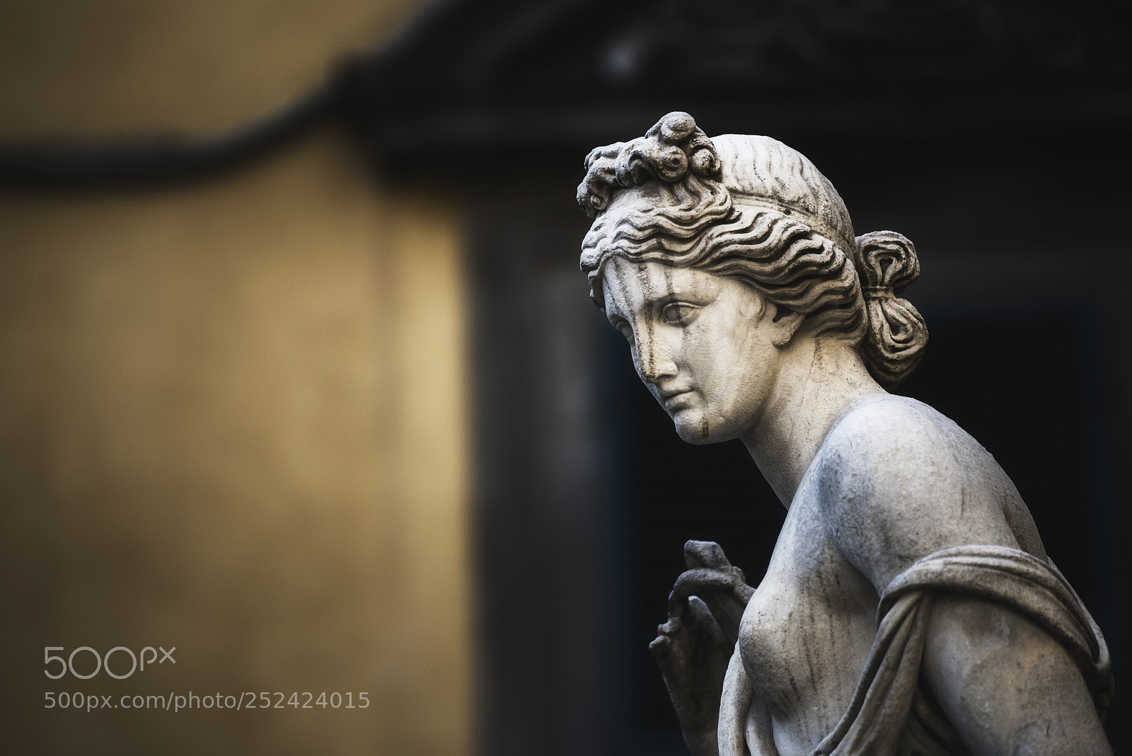 Nikon D800 sample photo. La pupporona-lucca photography