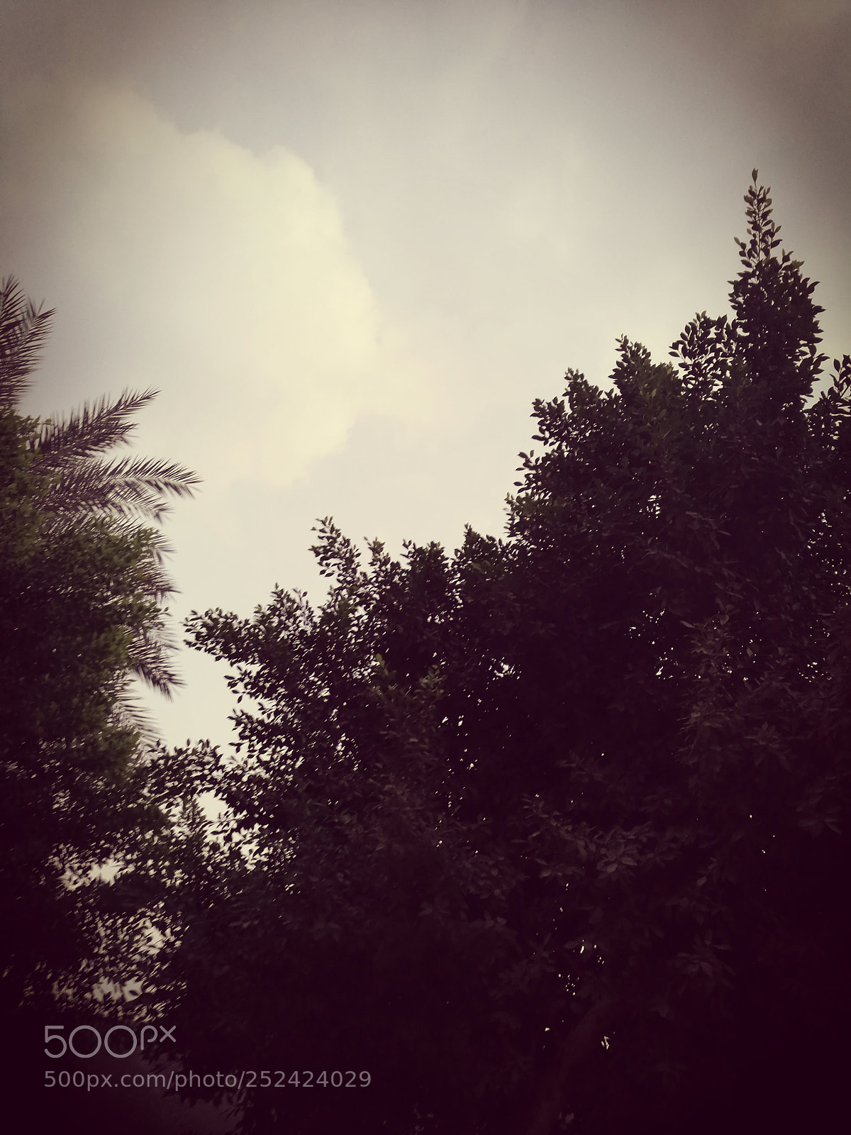HUAWEI P9 sample photo. Untitled photography