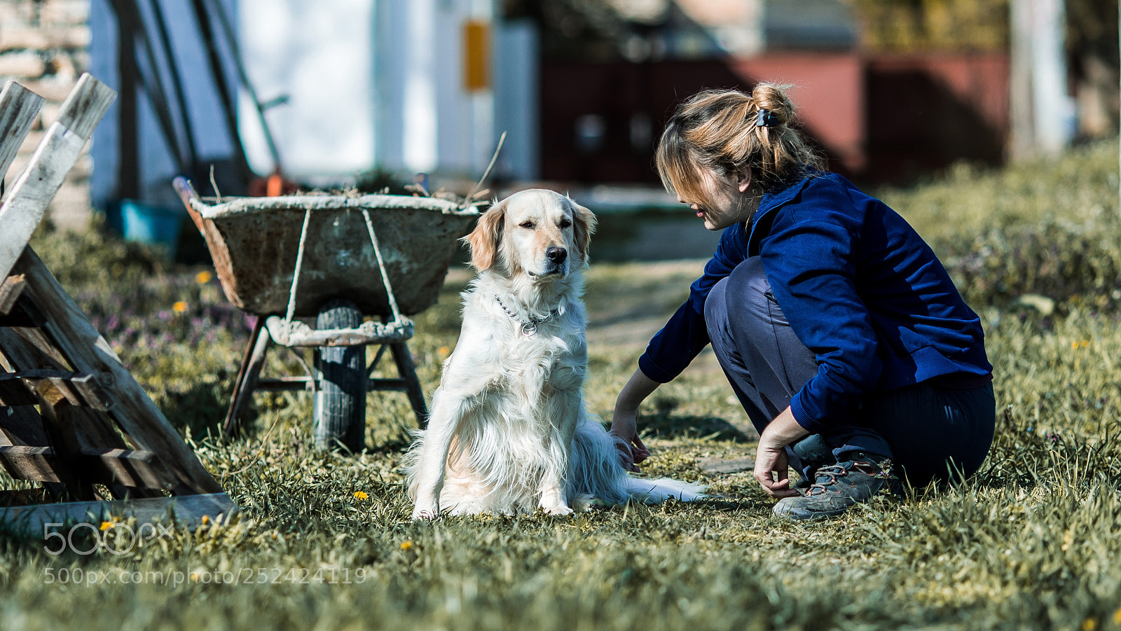 Canon EOS 5D Mark IV sample photo. Spring day photography