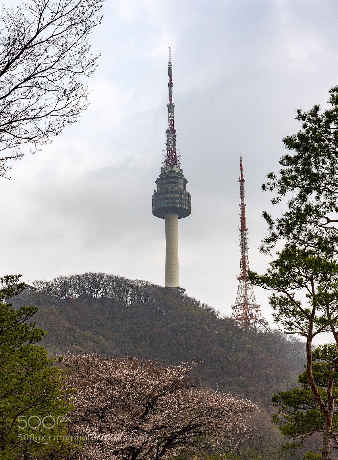 Nikon D750 sample photo. Seoul tower photography