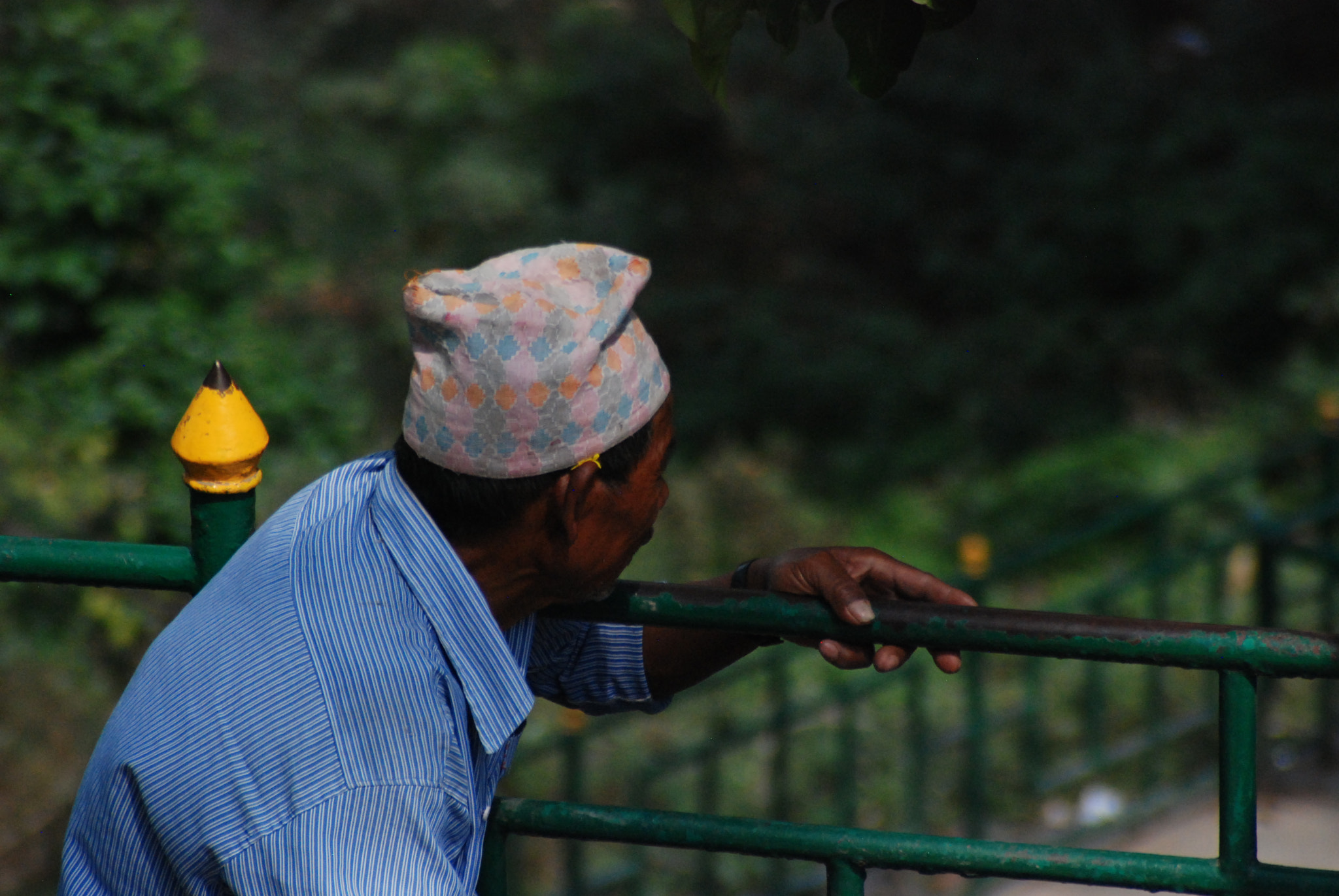 Nikon D80 sample photo. Familiar faces photography