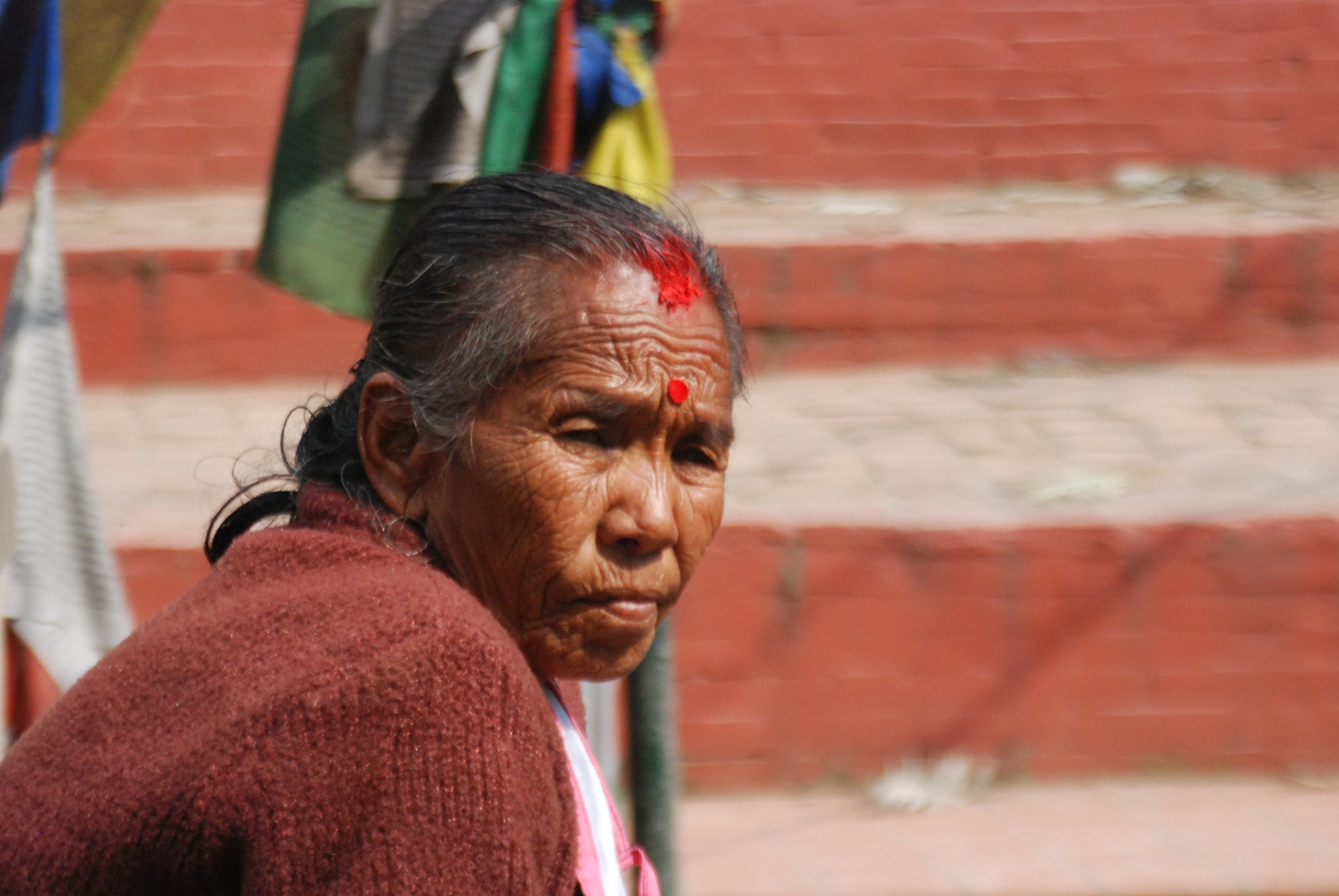 Nikon D80 sample photo. Familiar faces photography