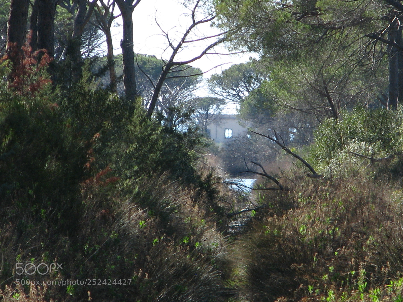 Canon POWERSHOT S5 IS sample photo. Untitled photography