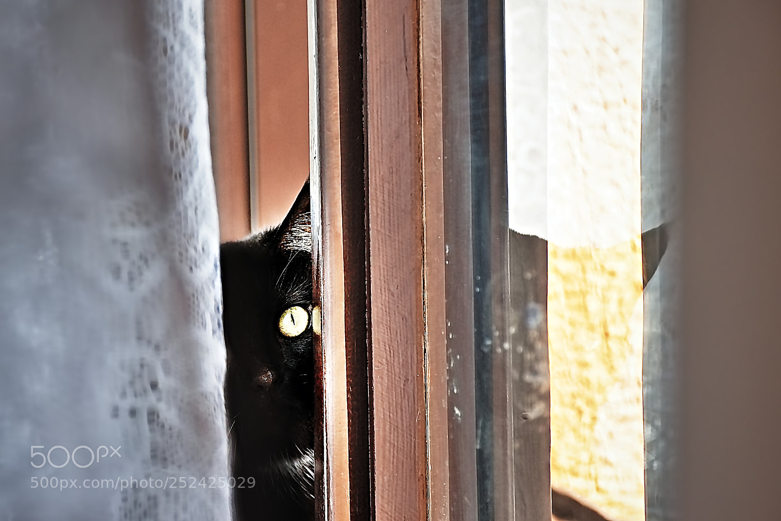 Nikon D5300 sample photo. Chomutov, czech republic photography