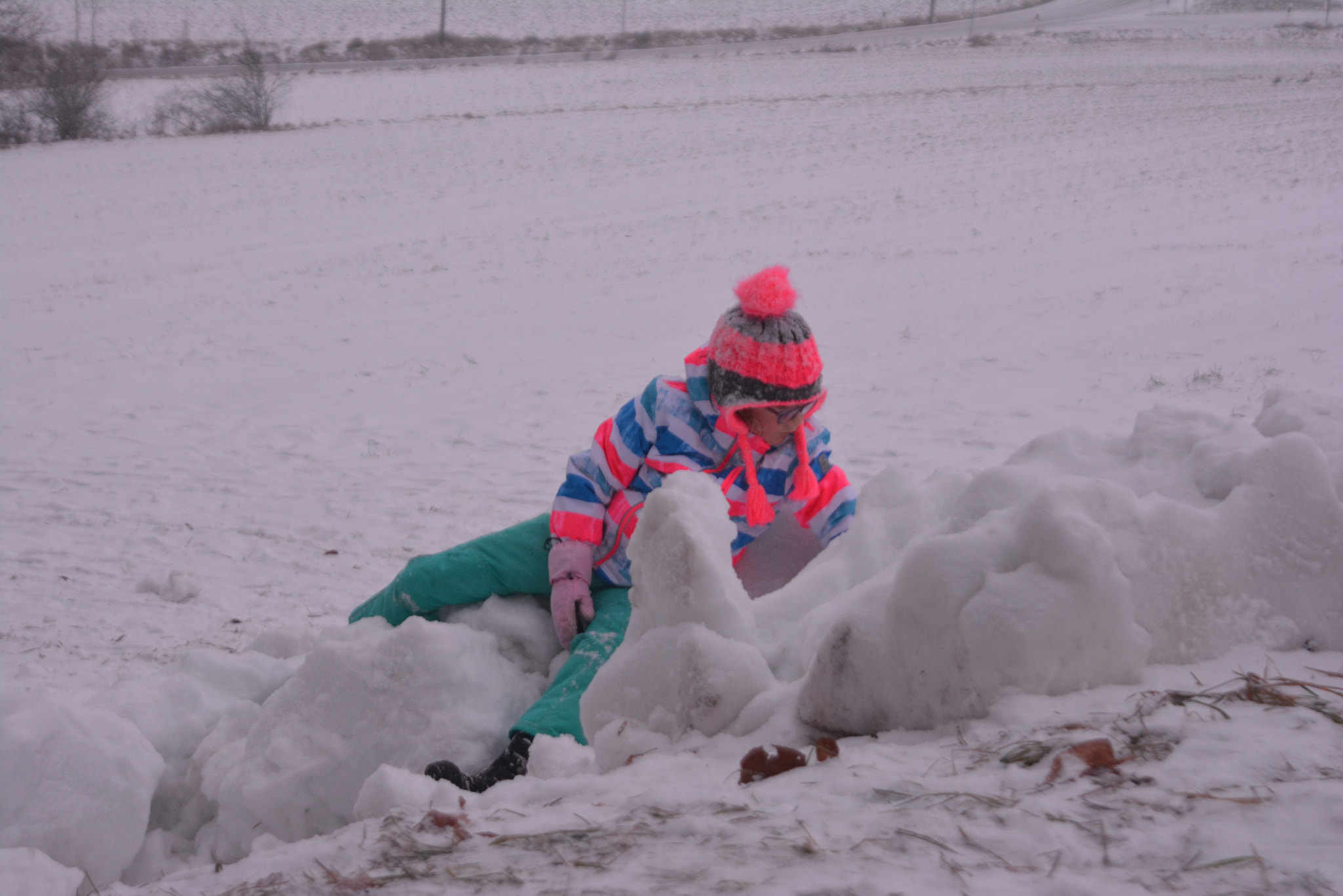Nikon D5200 sample photo. Icegamers photography