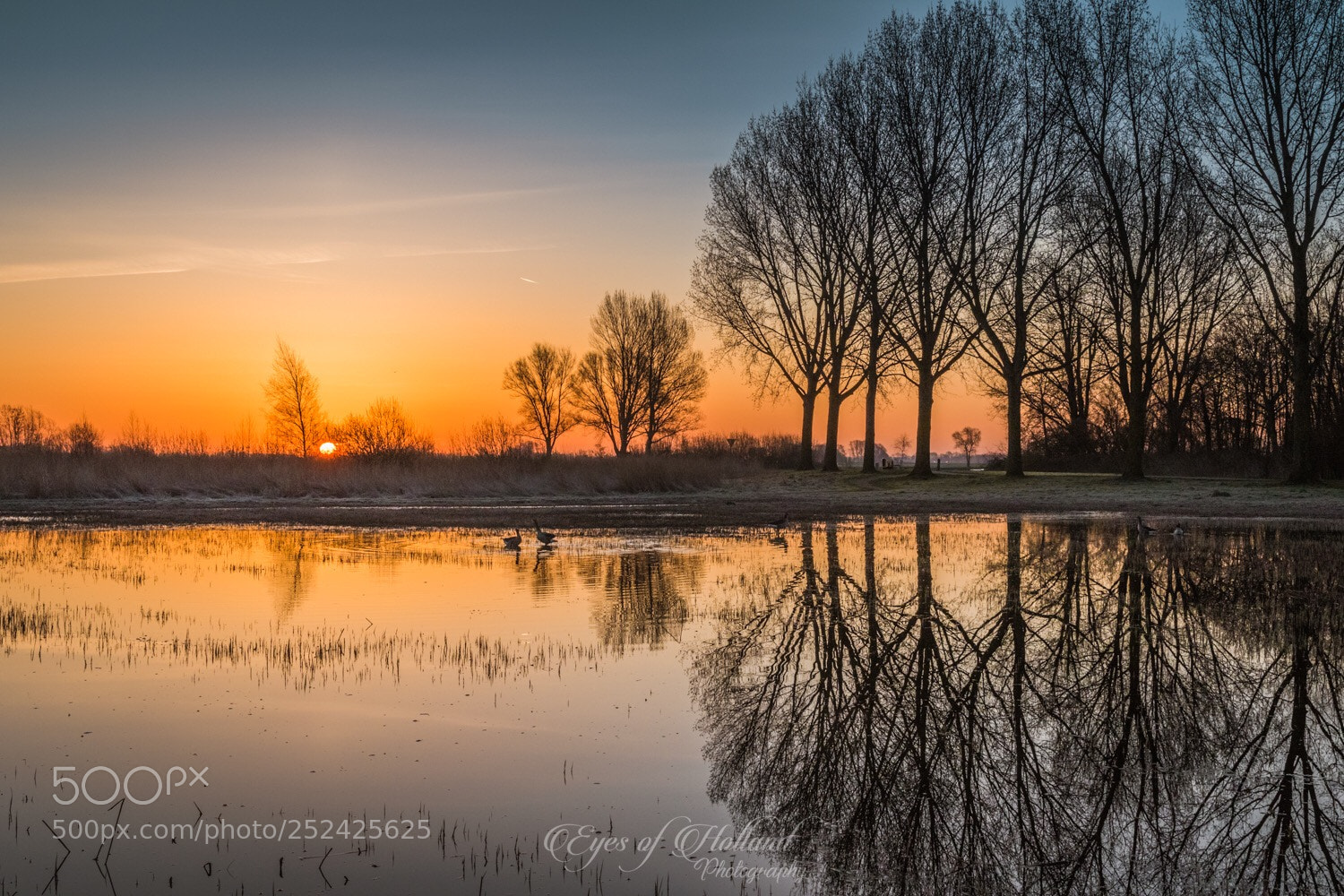 Canon EOS 7D Mark II sample photo. Sunrise photography