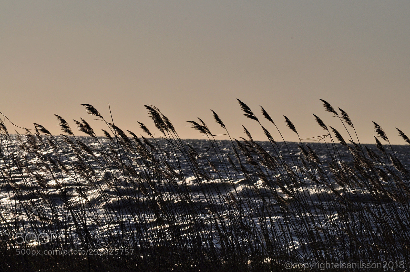 Nikon D5000 sample photo. Wind by the ocean photography