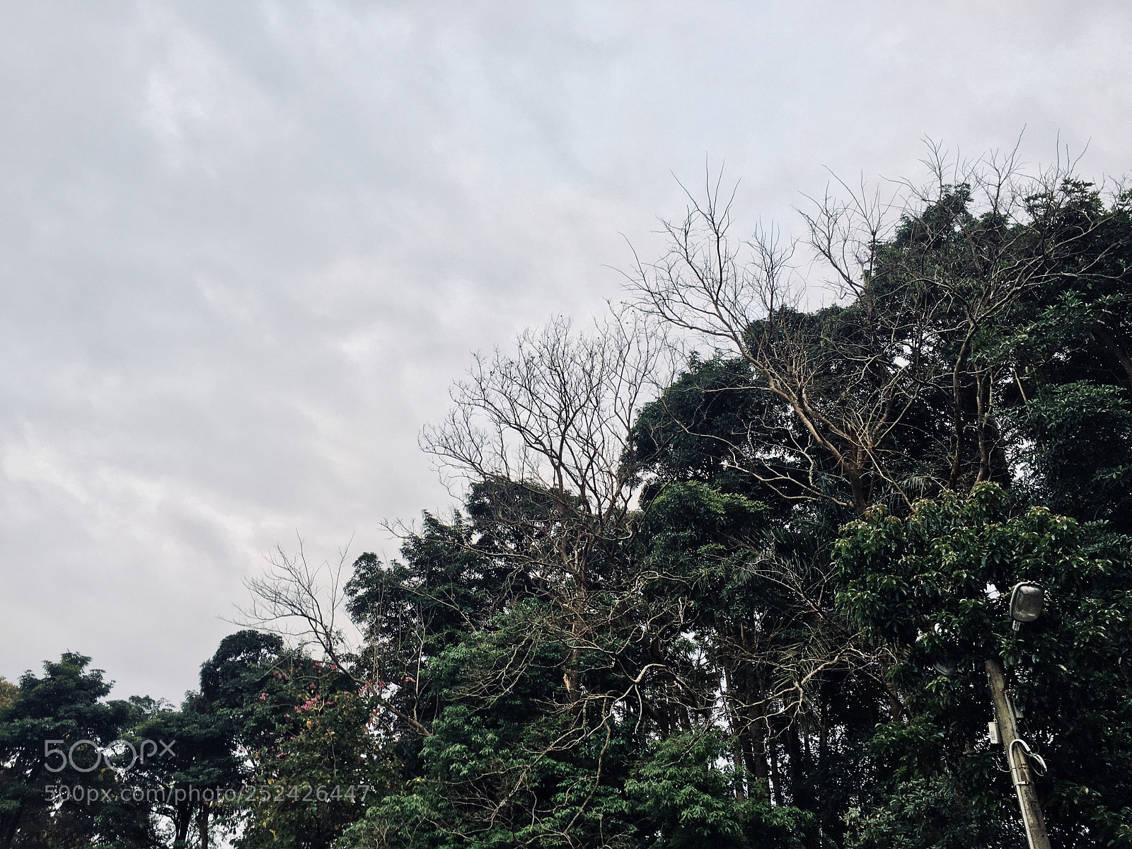 Apple iPhone 6s sample photo. Untitled photography