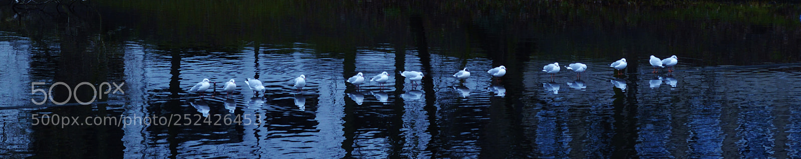 Nikon D3200 sample photo. Why all so serious? photography