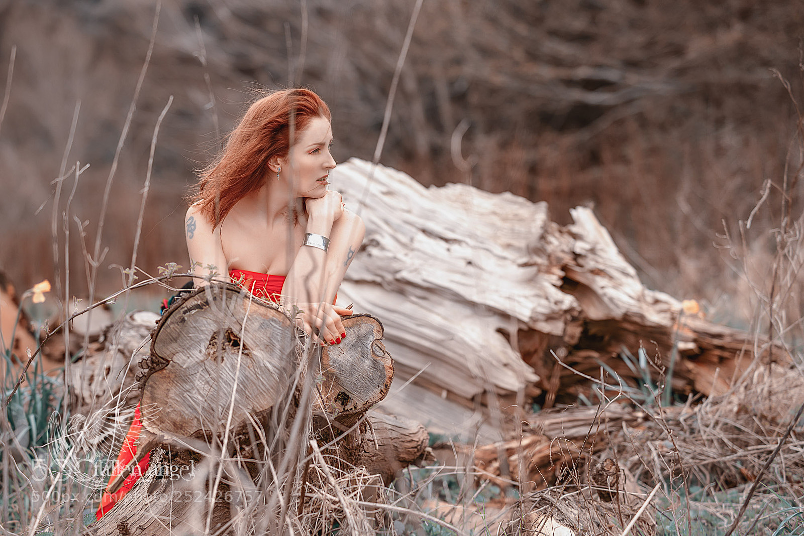 Nikon D800E sample photo. "losing my religion" photography