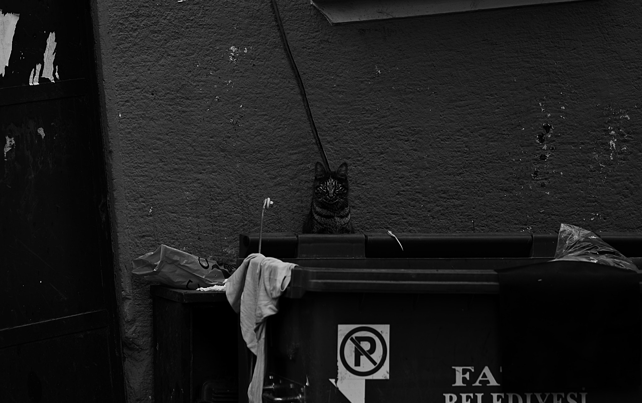 Nikon D7000 sample photo. Oa47 photography