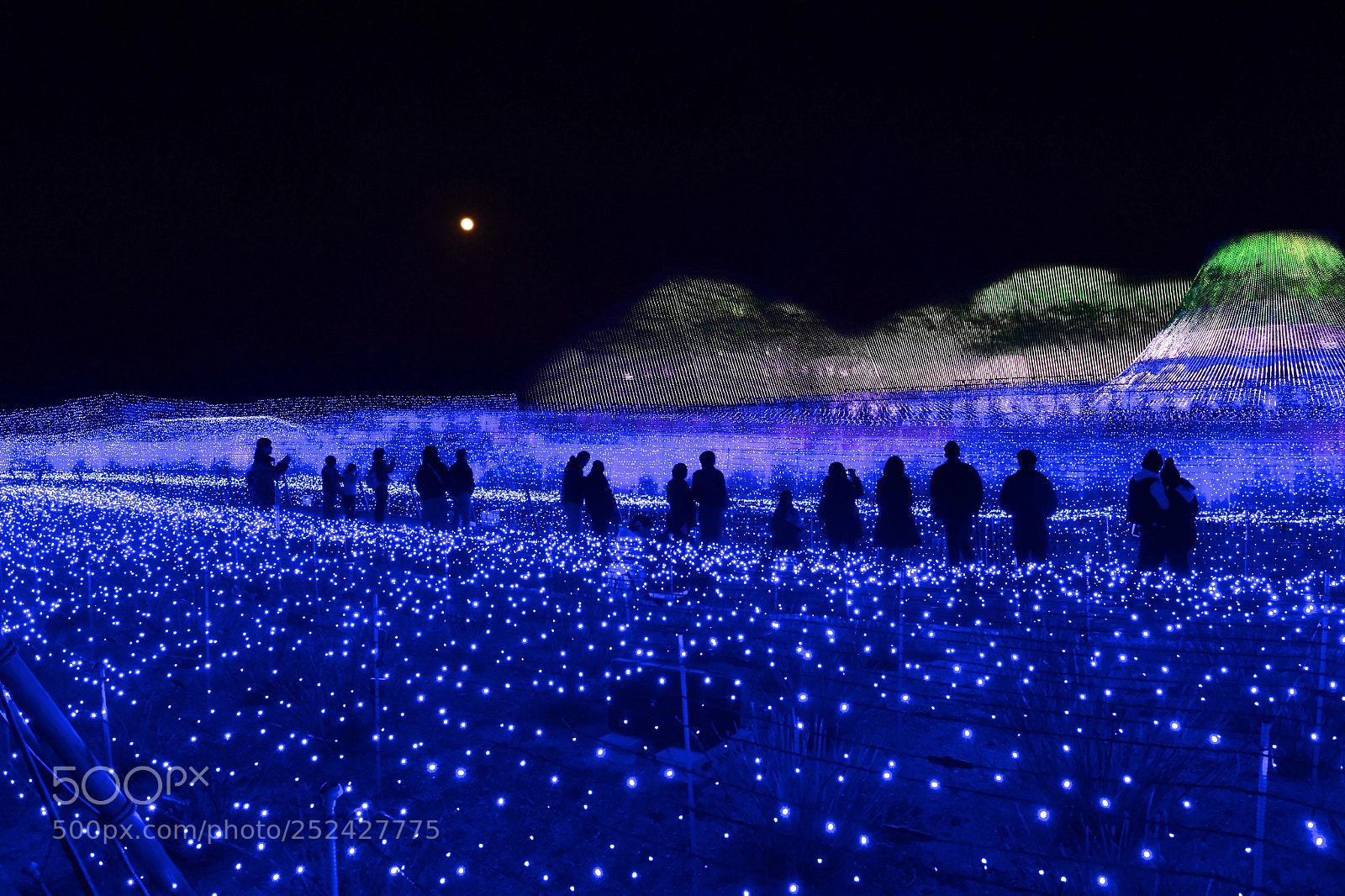 Nikon D4S sample photo. Blue star sea photography