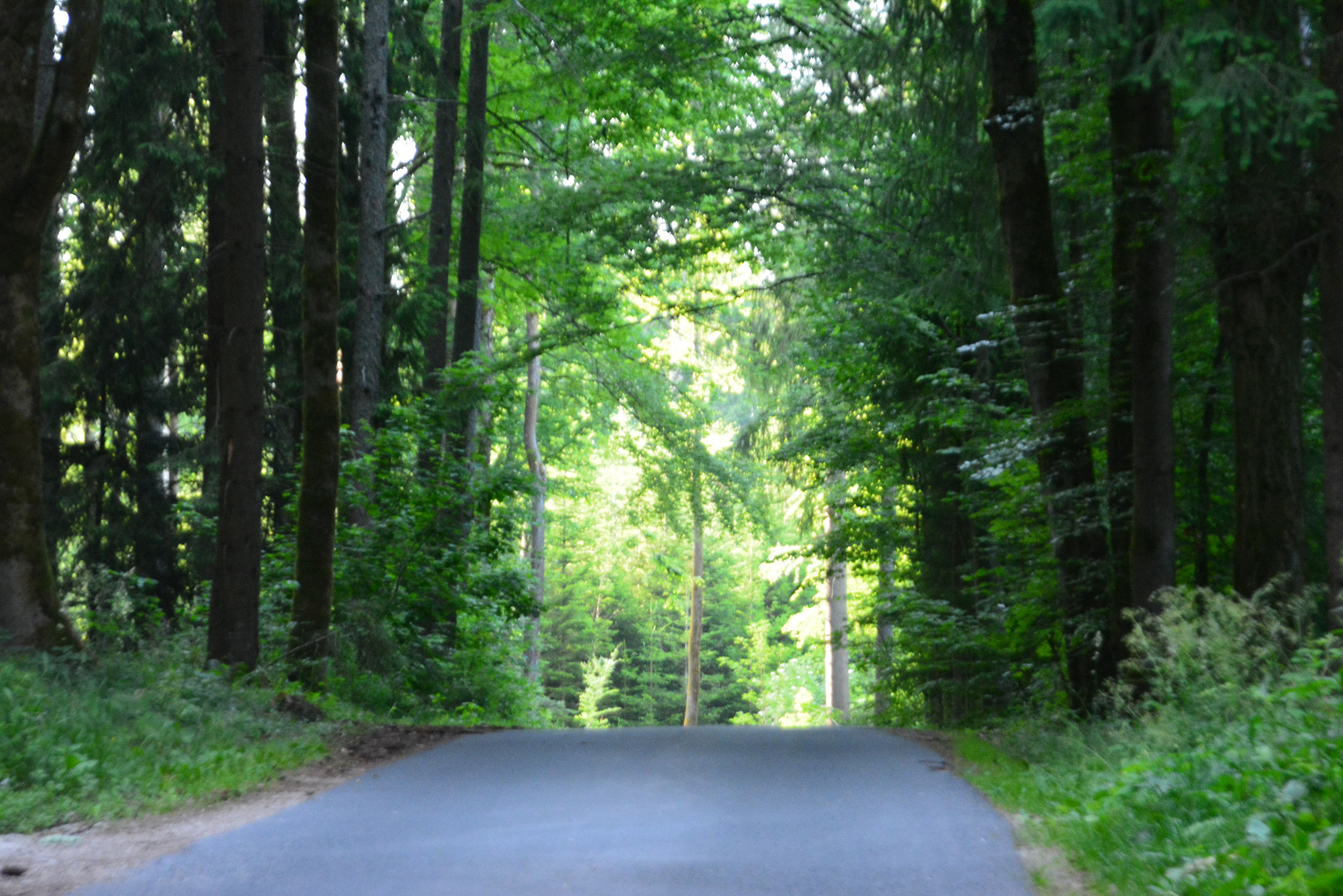 Nikon D5200 sample photo. Outta the darness photography