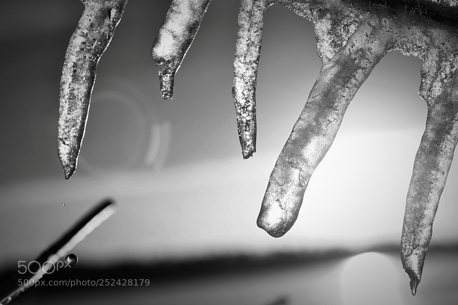 Nikon D7100 sample photo. Dripping photography