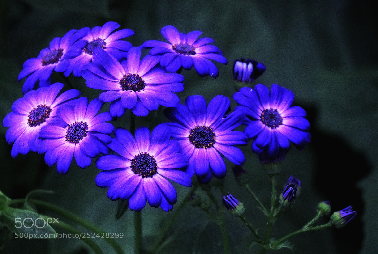 Canon EOS 80D sample photo. Img_3093-01.jpeg photography