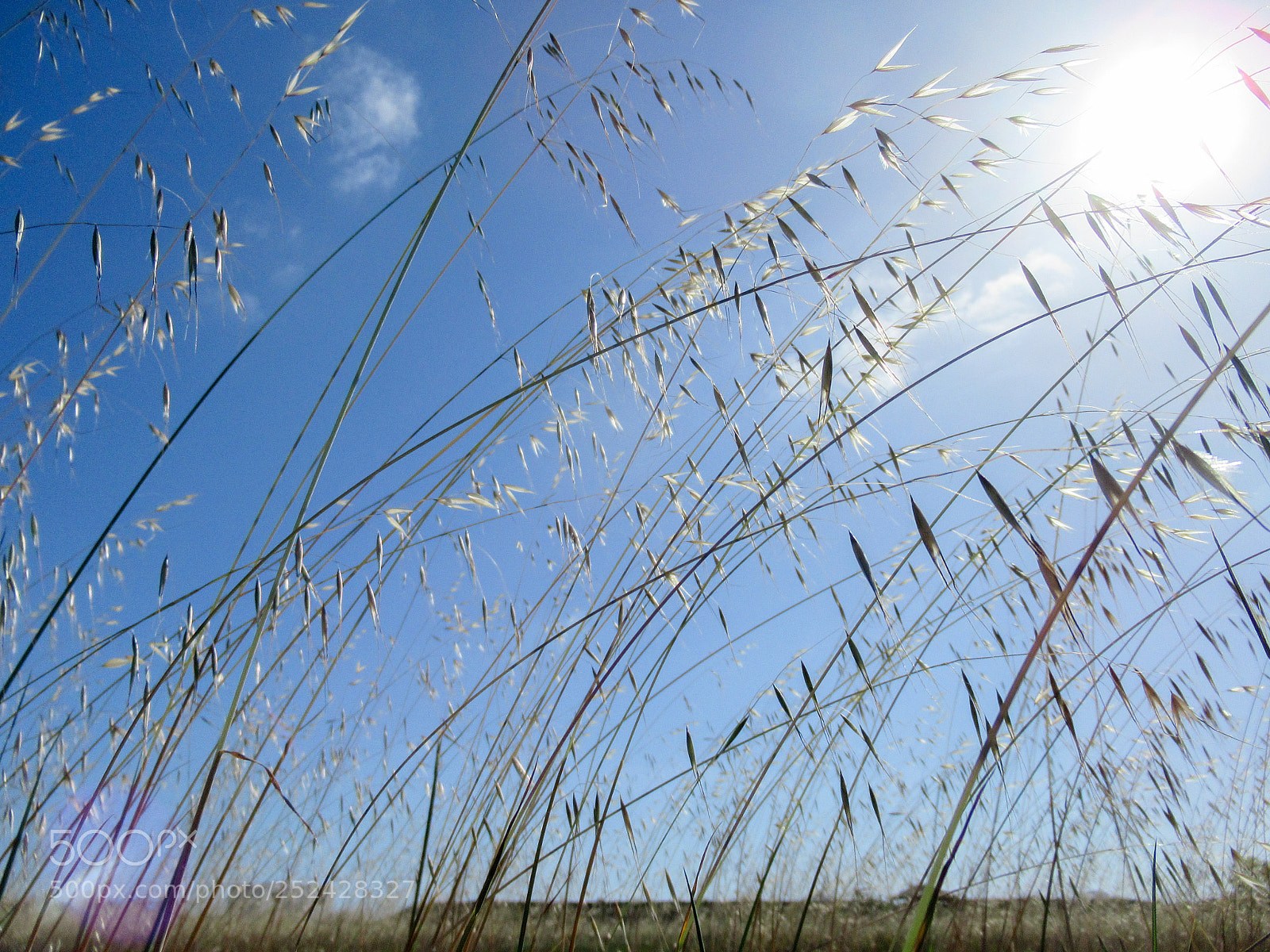 Canon PowerShot SX620 HS sample photo. Big blue skies photography