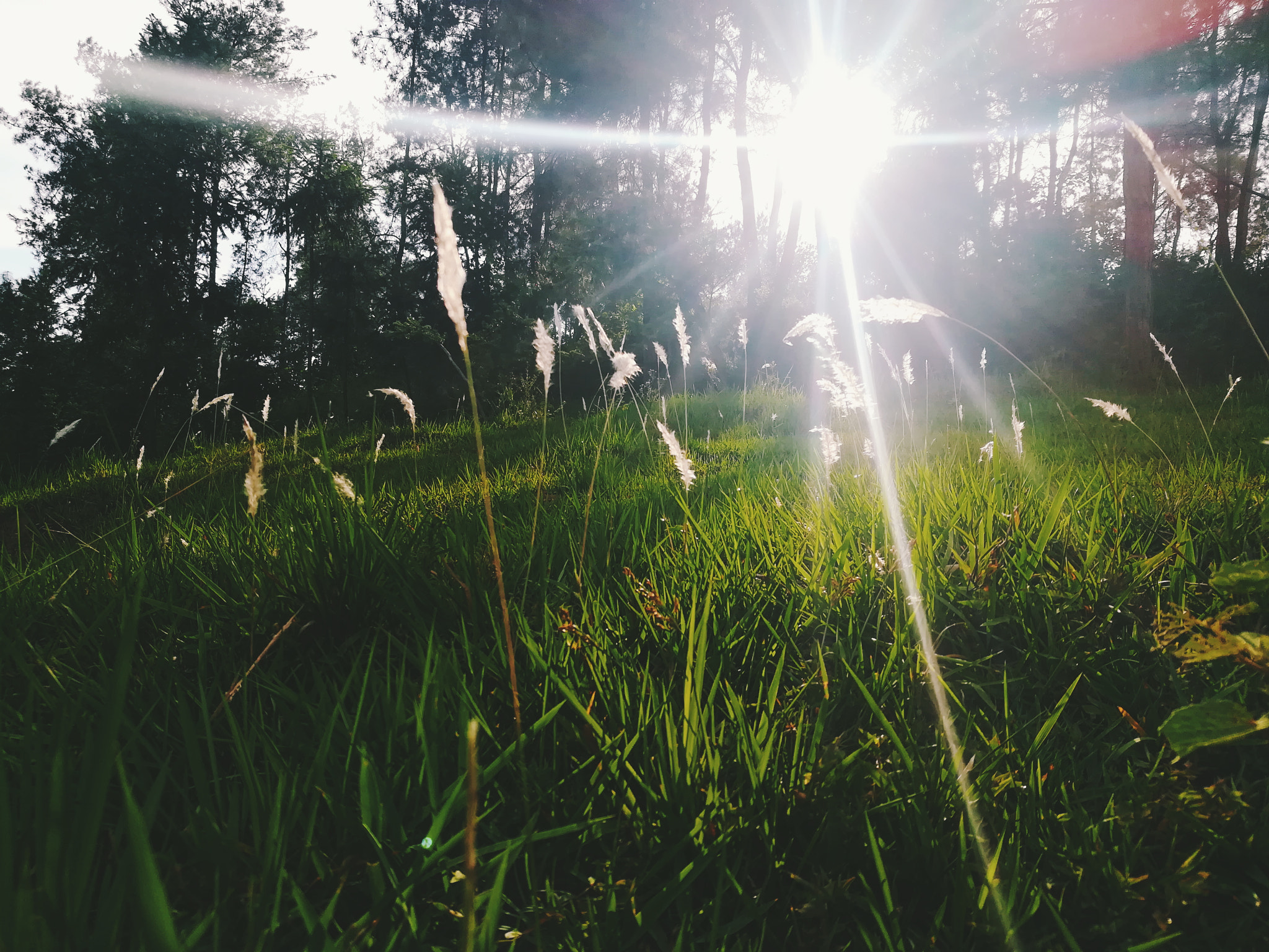 HUAWEI c??Eu?s 6X sample photo