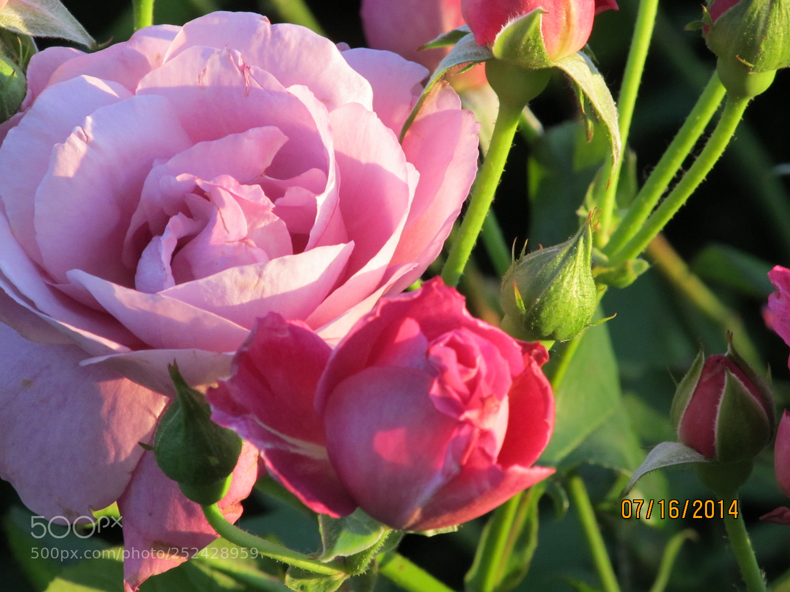 Canon PowerShot SX130 IS sample photo. Img photography
