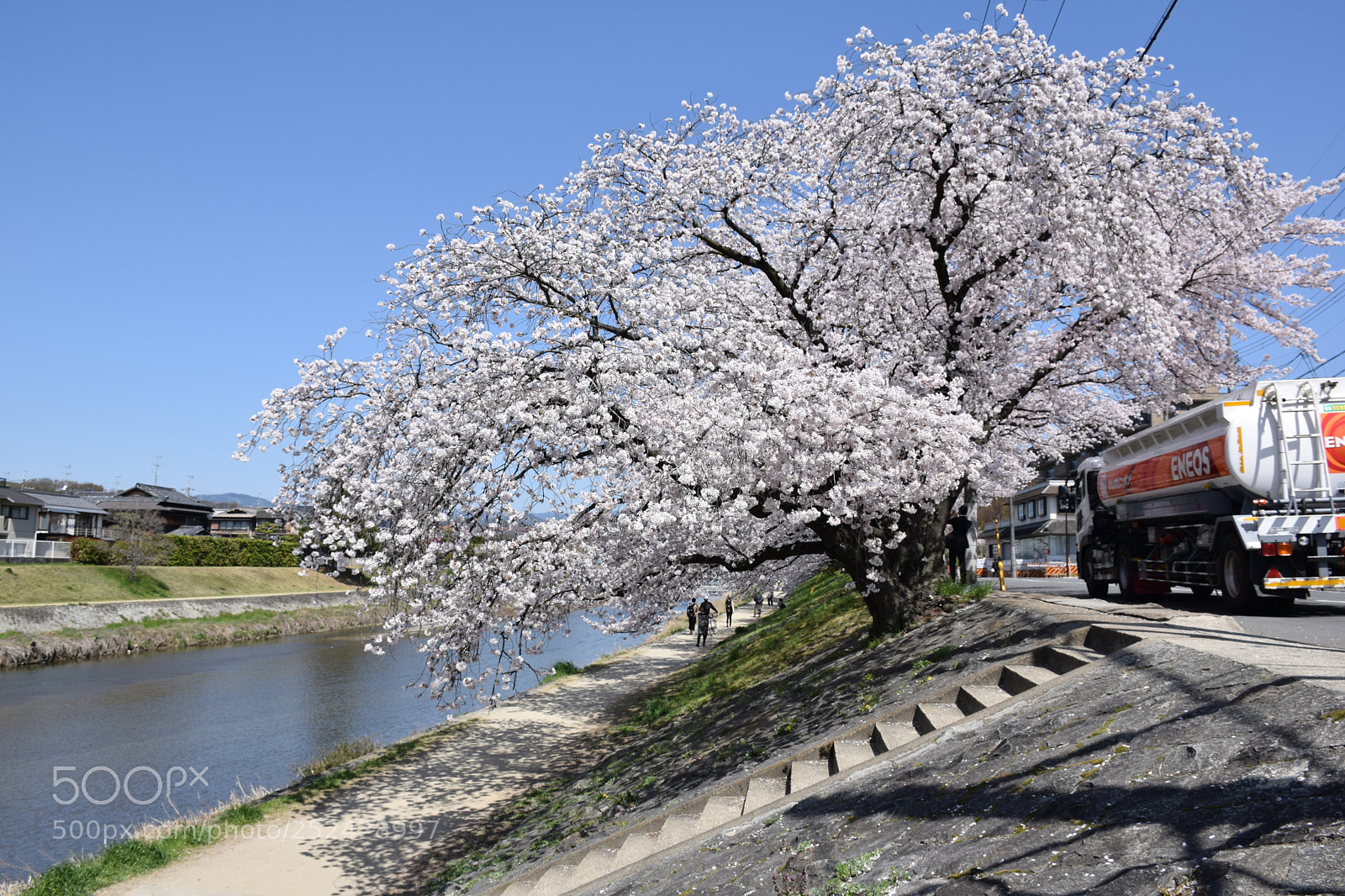 Nikon D5300 sample photo. Clear weather photography