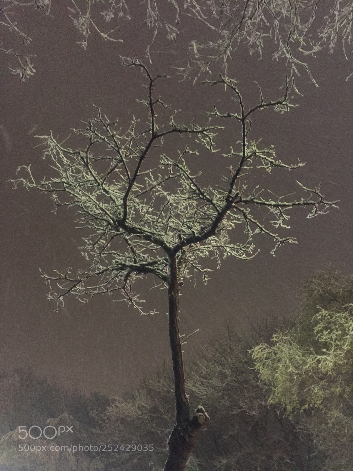 Apple iPhone 6 sample photo. 风雪夜 photography