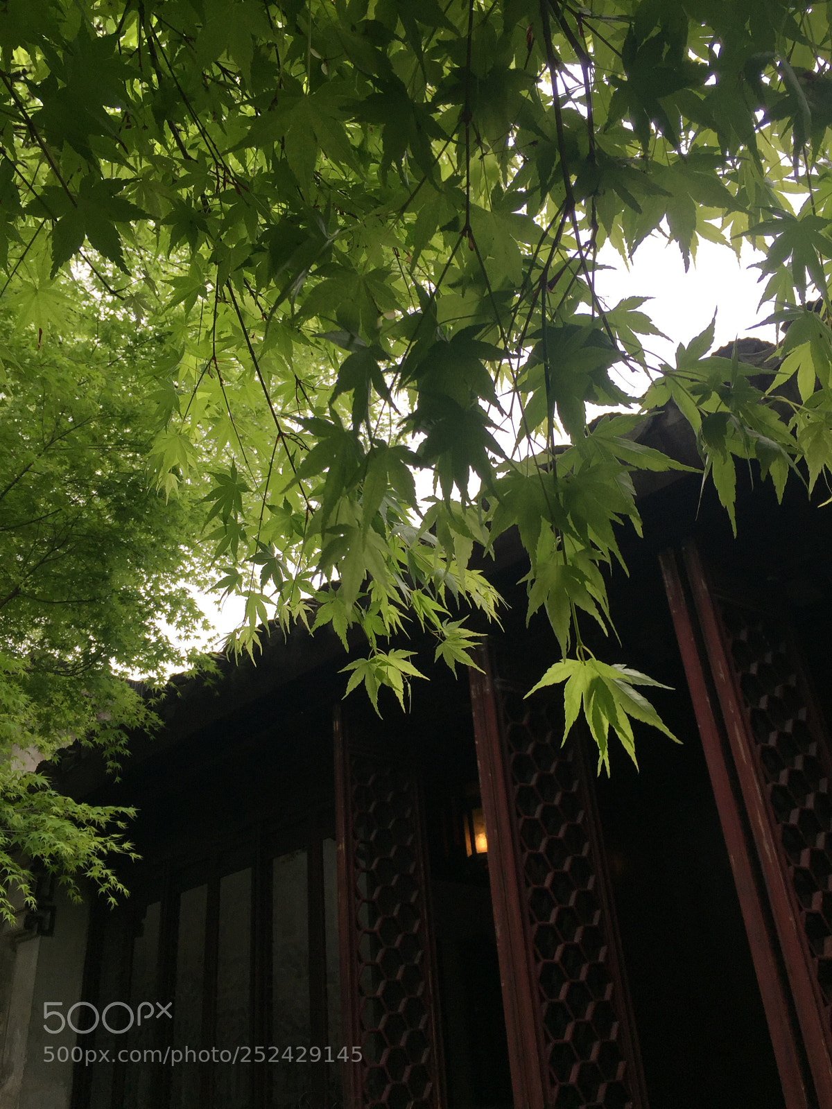 Apple iPhone 6 sample photo. 留园 liuyuan park，suzhou china photography