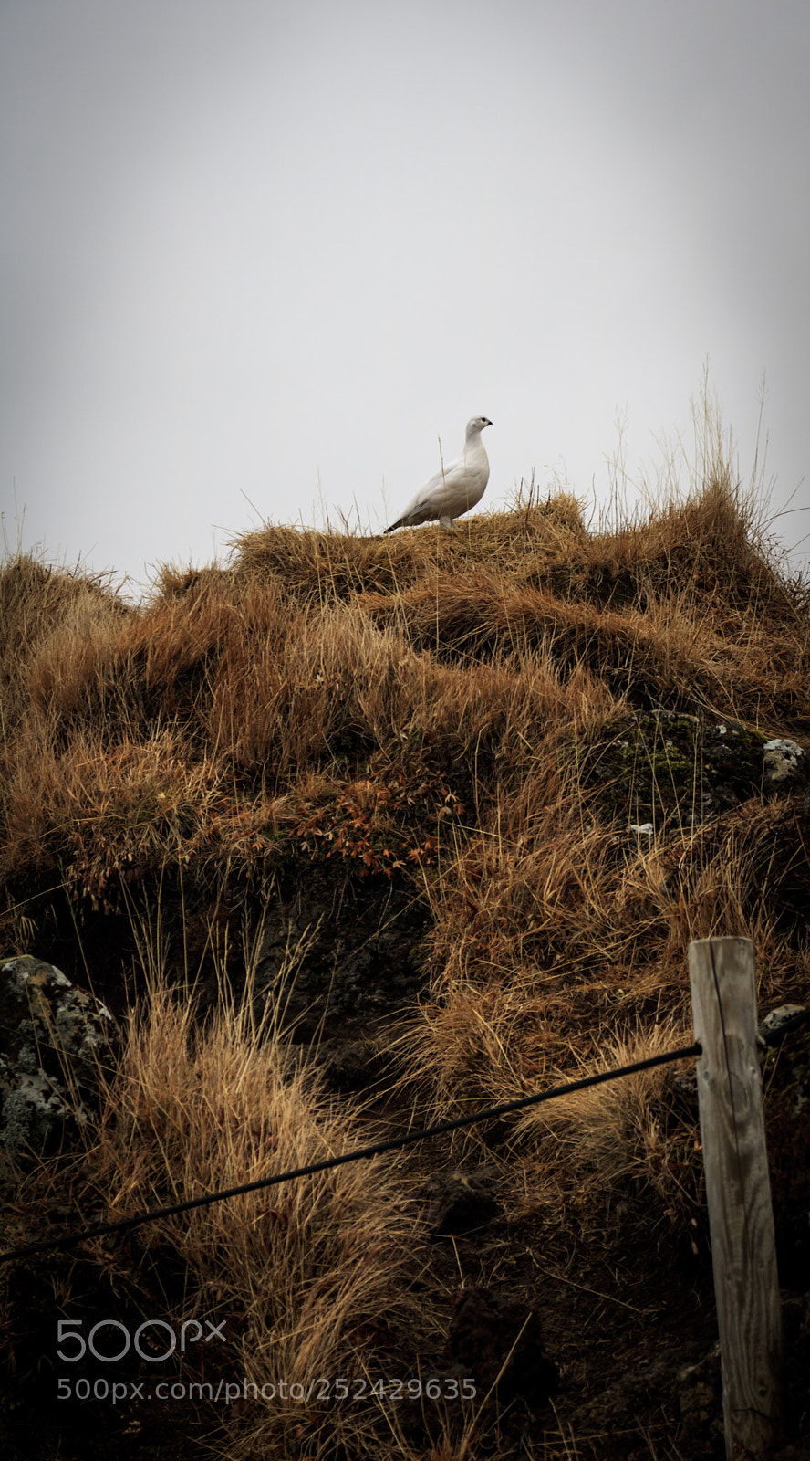 Canon EOS 750D (EOS Rebel T6i / EOS Kiss X8i) sample photo. Kerið photography